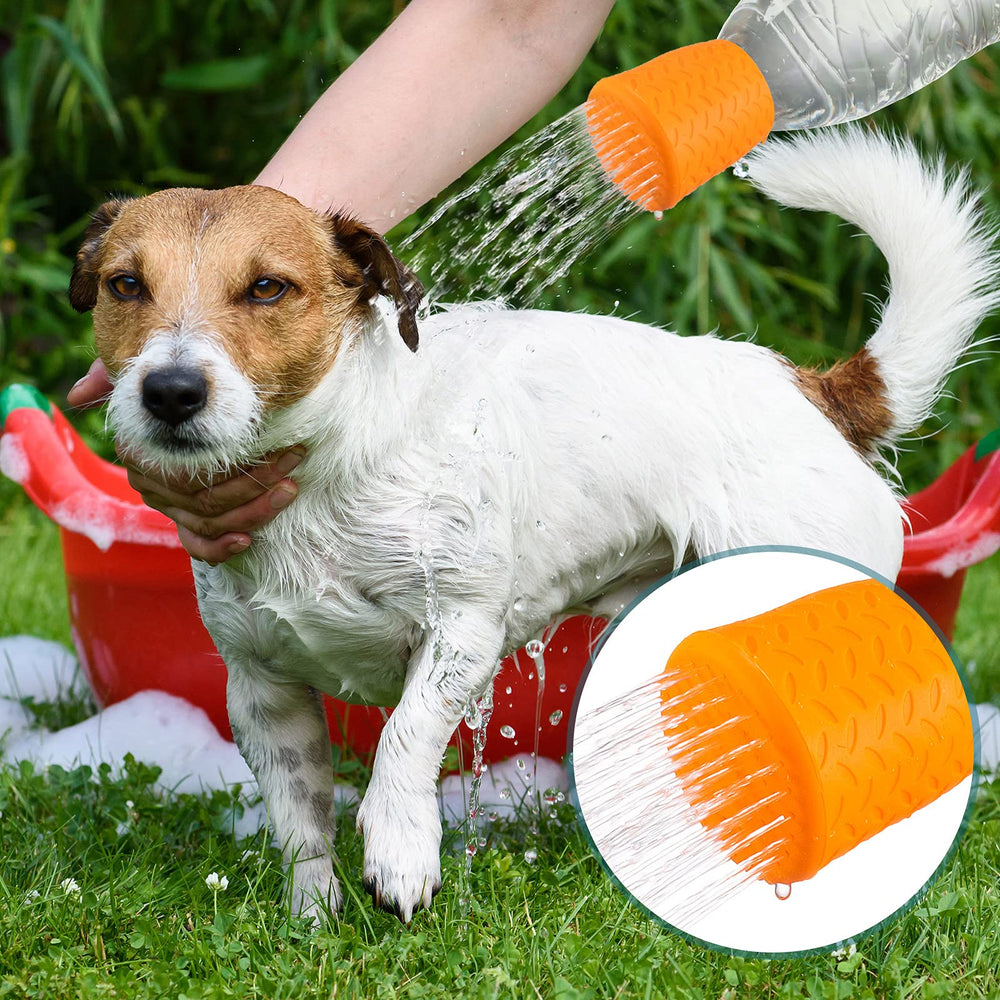 Remerry rinçage chien sur plage pour enlever sable et boue rapidement