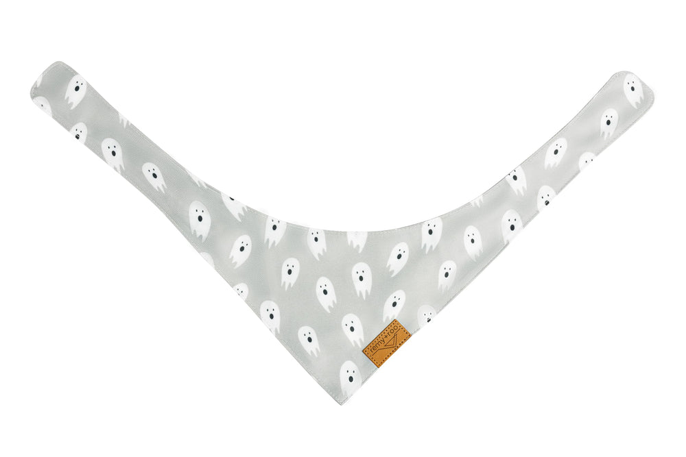 Remy+Roo bandana porté sur chien en promenade, look festif