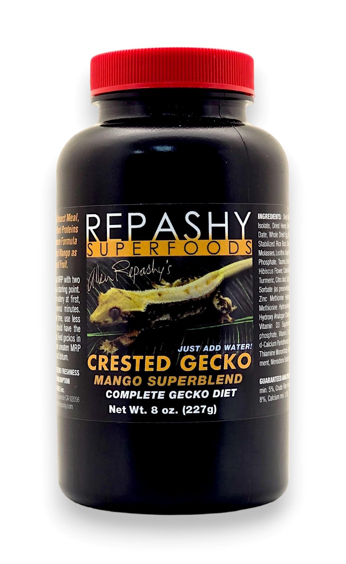 Repashy pot ouvert montrant la poudre mango appétente pour geckos, facile à préparer