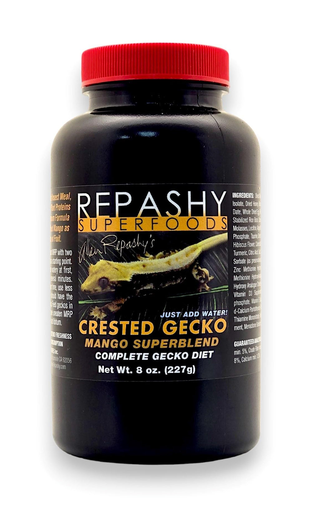 Repashy pot ouvert montrant la poudre mango appétente pour geckos, facile à préparer