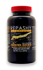 Repashy pot ouvert montrant la poudre mango appétente pour geckos, facile à préparer