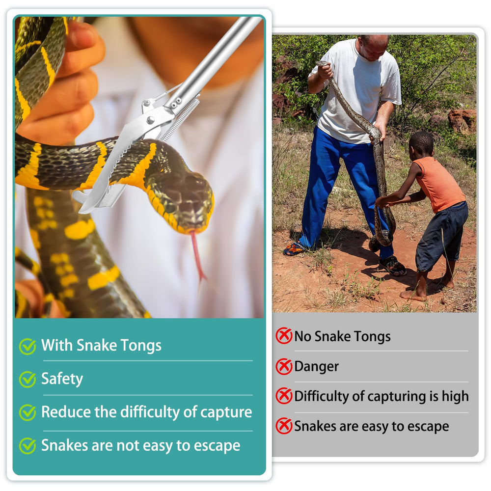 Repgfor en action lors de la saisie d’un serpent pour protection distante