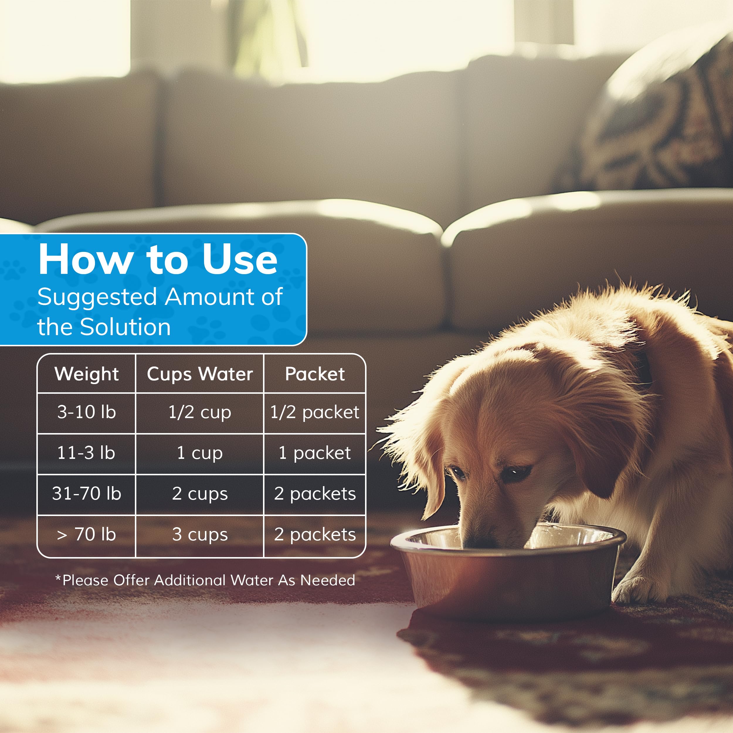Replenish chien boit en extérieur après exercice pour récupération et confort