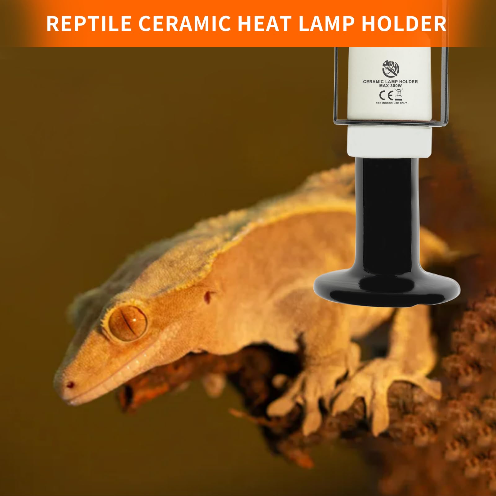 REPTI HOME étiquette technique affichant spécifications fiables