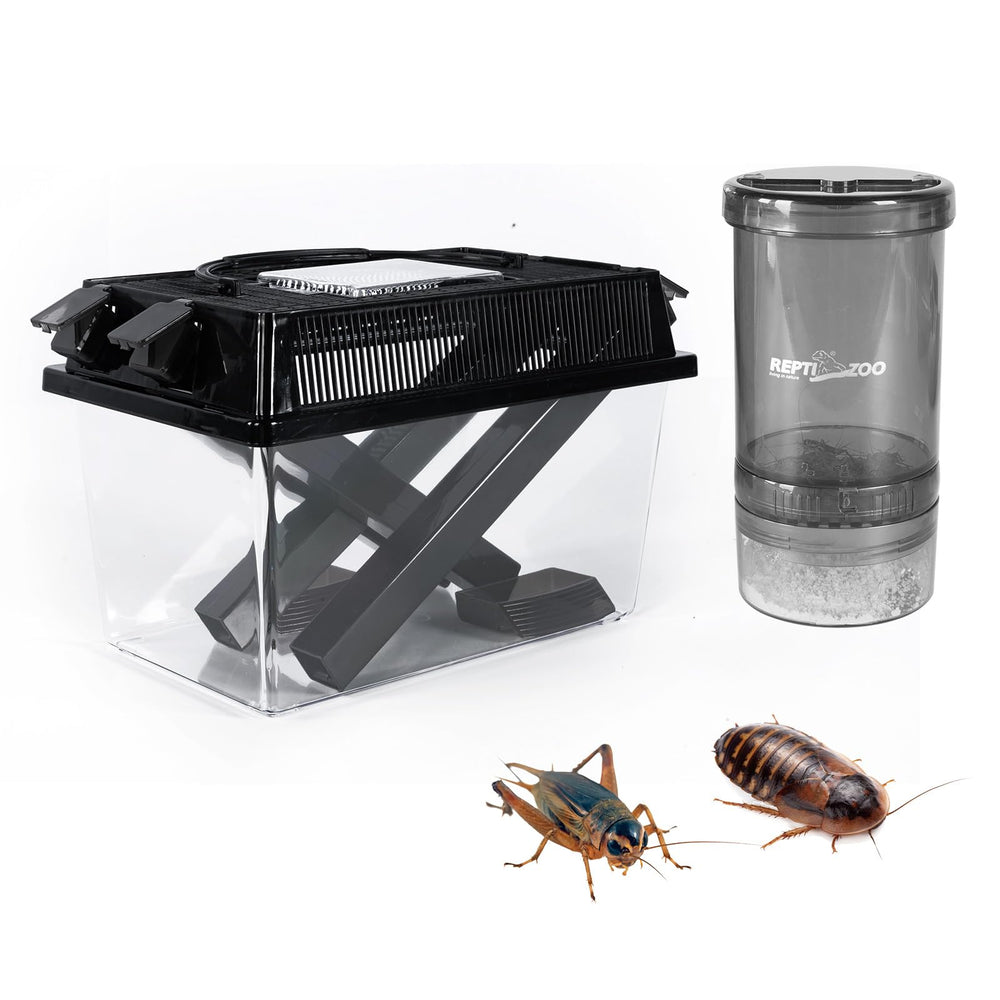 REPTI ZOO boîte transparente montrant grillons et observation facile