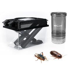 REPTI ZOO boîte transparente montrant grillons et observation facile