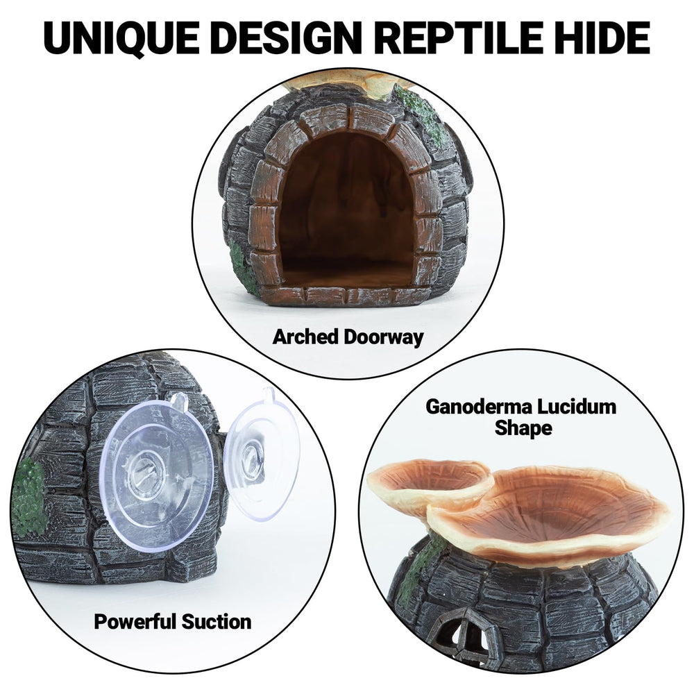 REPTI ZOO dans terrarium avec gecko illustrant échelle et usage