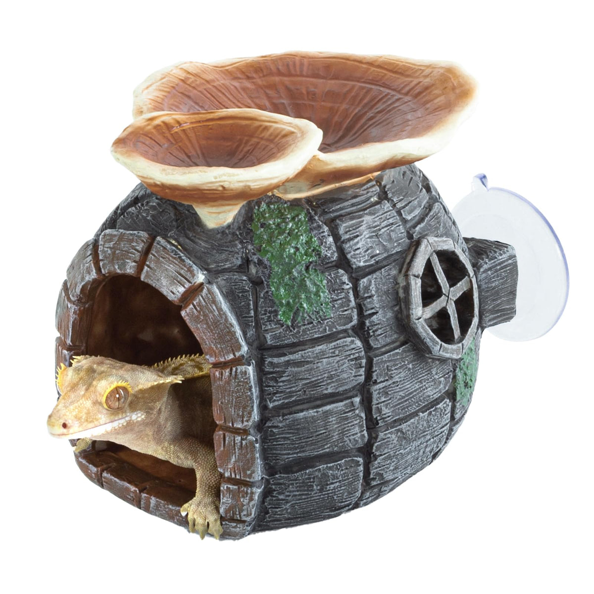 REPTI ZOO cachette Ganoderma vue de face apportant abri naturel