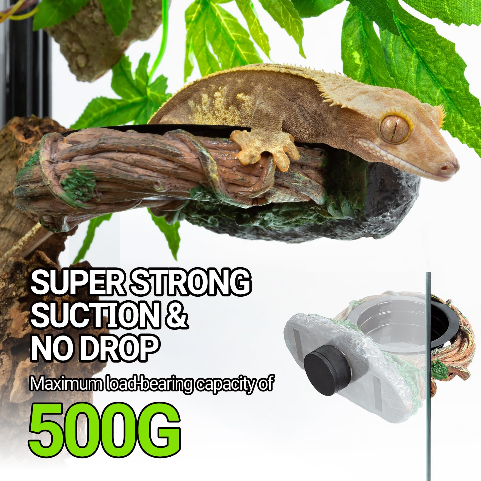 REPTI ZOO coupes PVC intégrées pour nourrir facilement les reptiles
