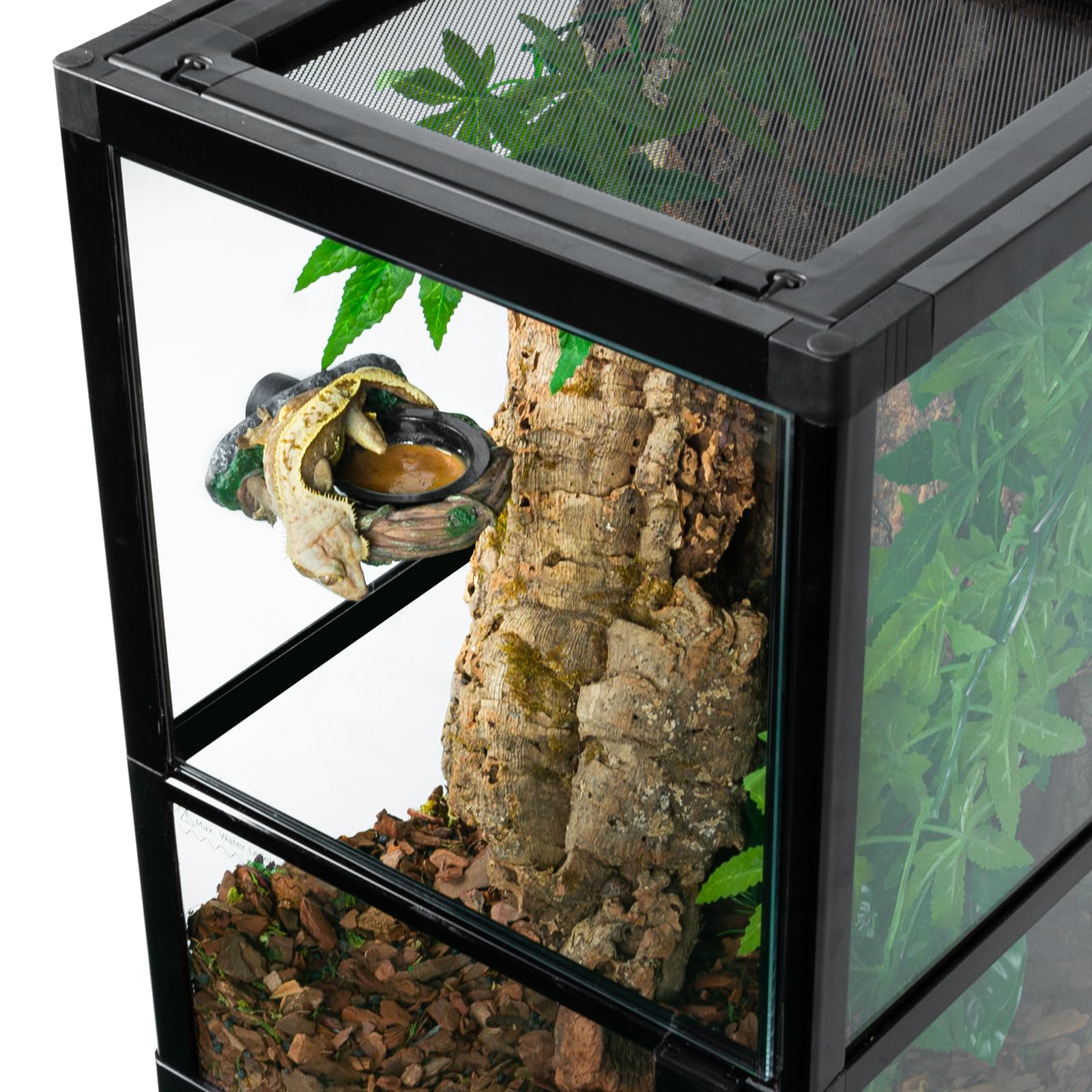 REPTI ZOO gecko utilisant le plateau facilitant alimentation et repos