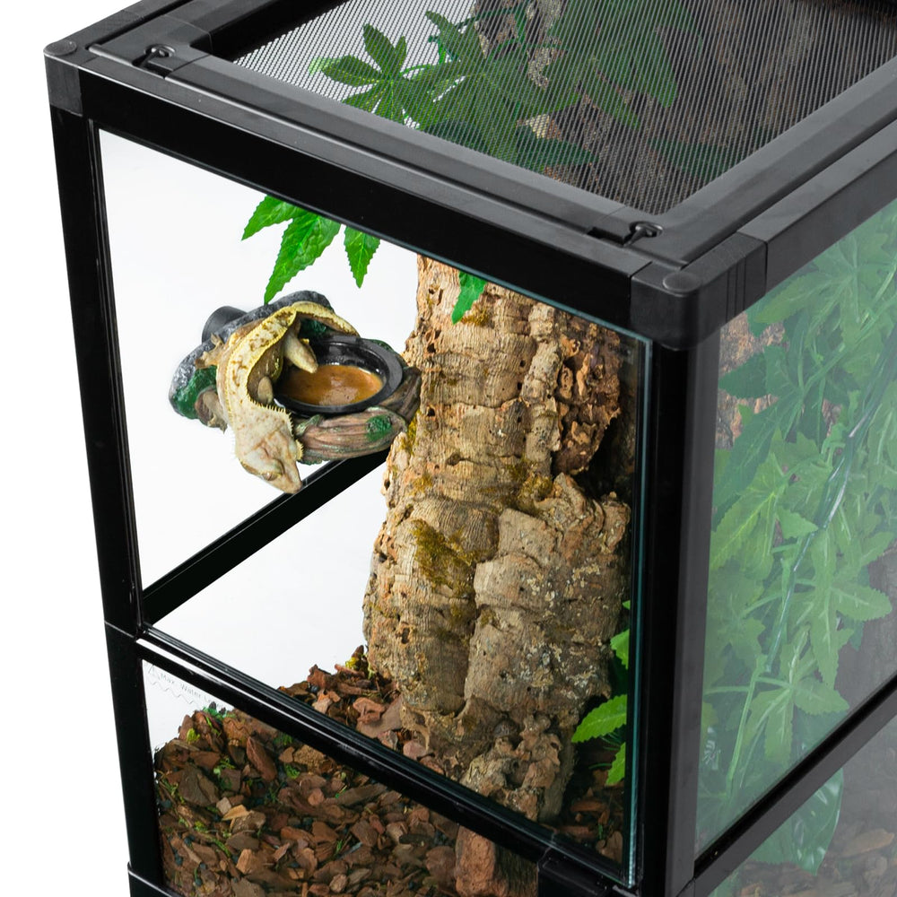 REPTI ZOO gecko utilisant le plateau facilitant alimentation et repos
