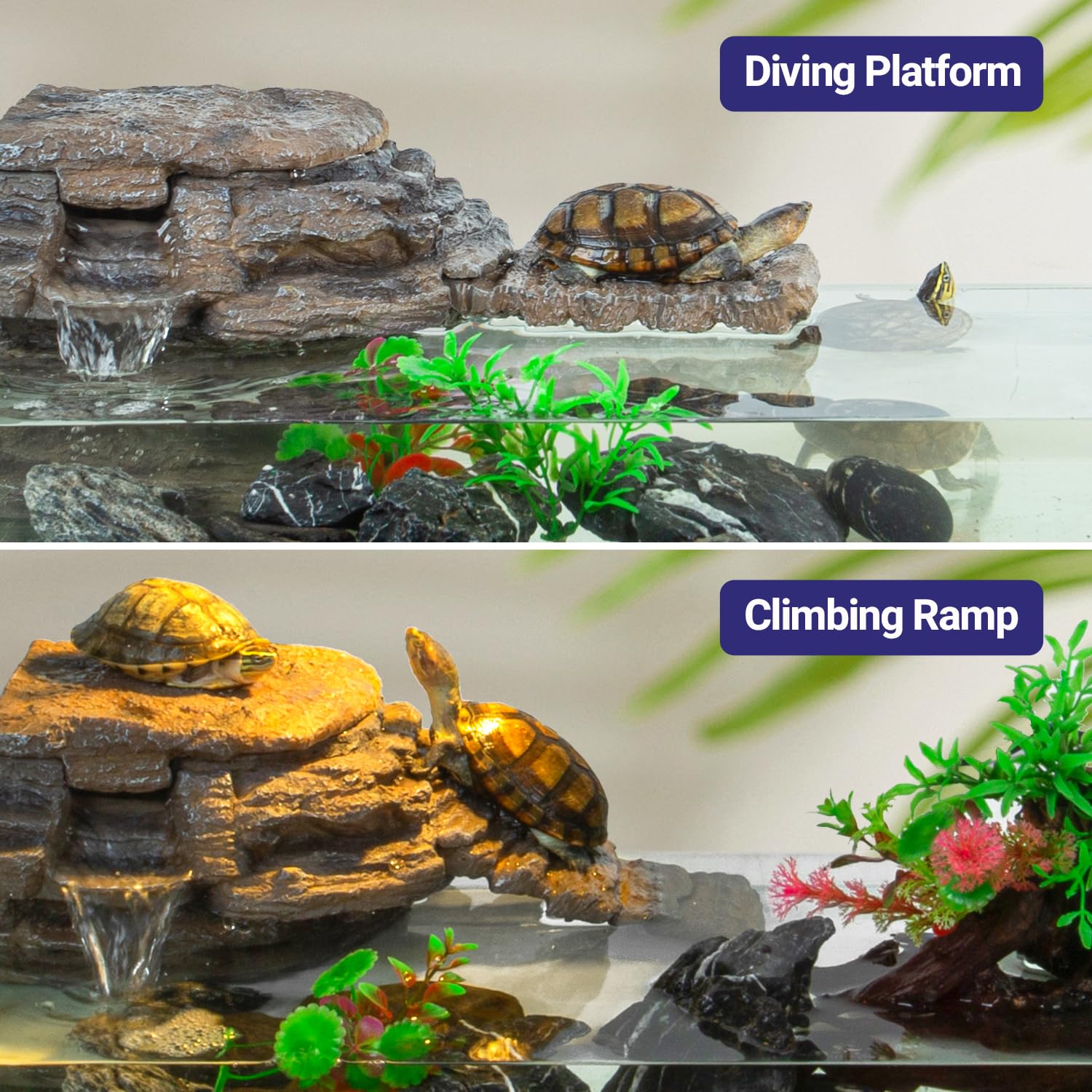 REPTI ZOO filtre installé dans aquarium, eau plus claire et calme