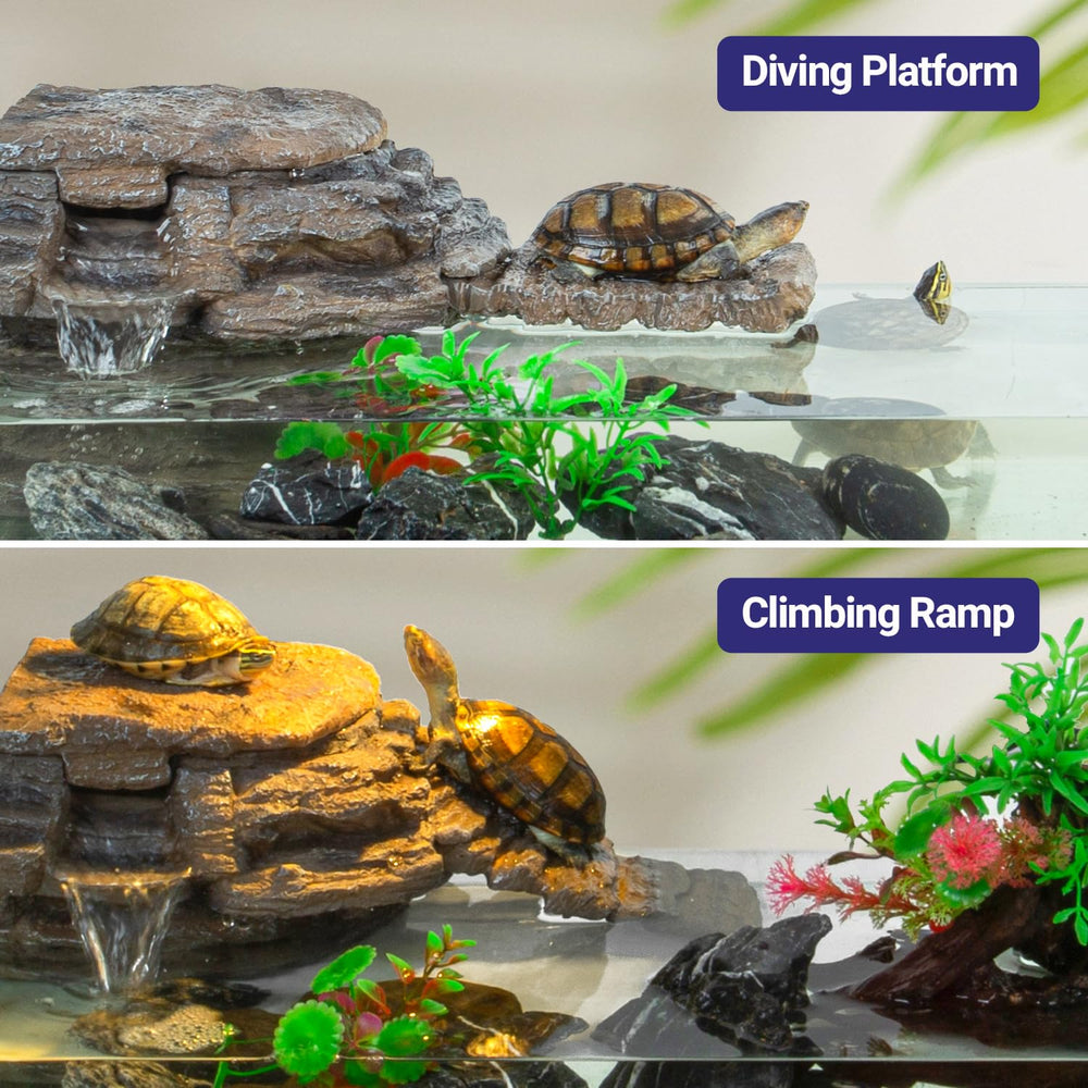 REPTI ZOO filtre installé dans aquarium, eau plus claire et calme