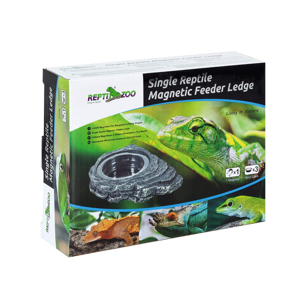 REPTI ZOO installation décorative intégrée améliorant esthétique terrarium