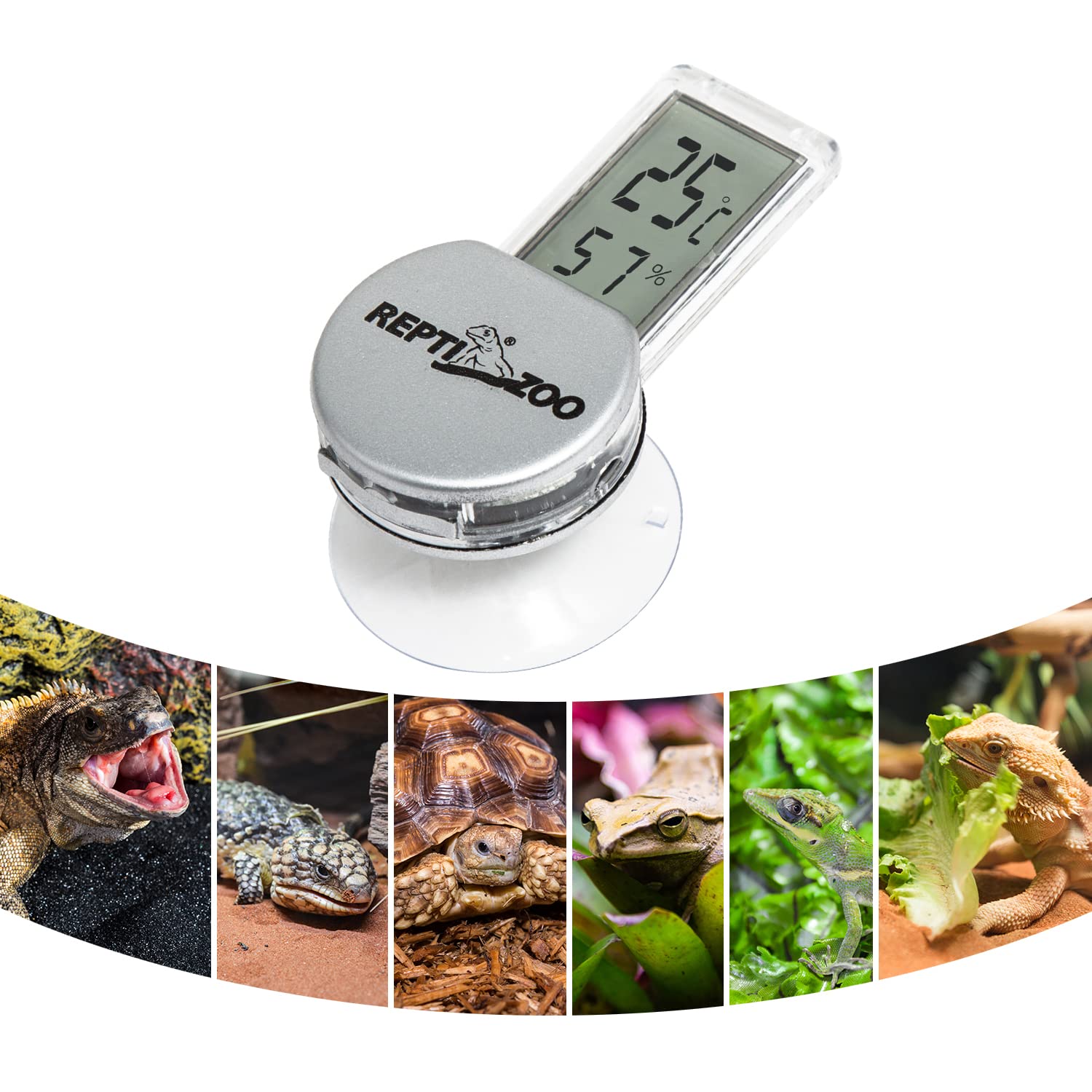 REPTI ZOO piles incluse plus pile de rechange pour longue autonomie
