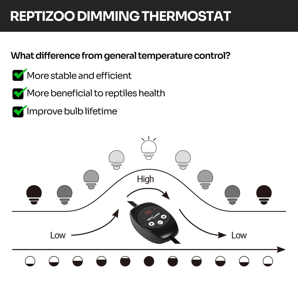 REPTI ZOO sonde de température en gros plan pour mesures rapides et fiables