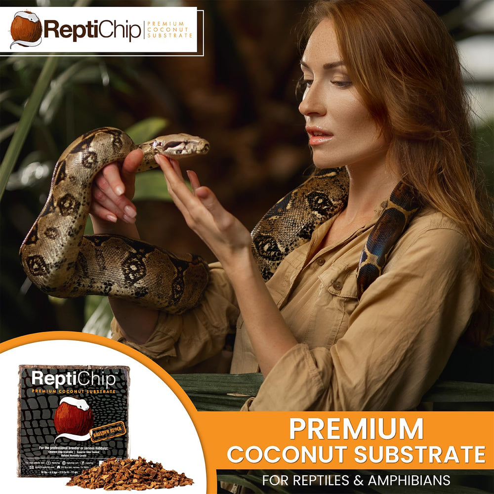 ReptiChip bloc en expansion pendant préparation, rapide et simple à utiliser