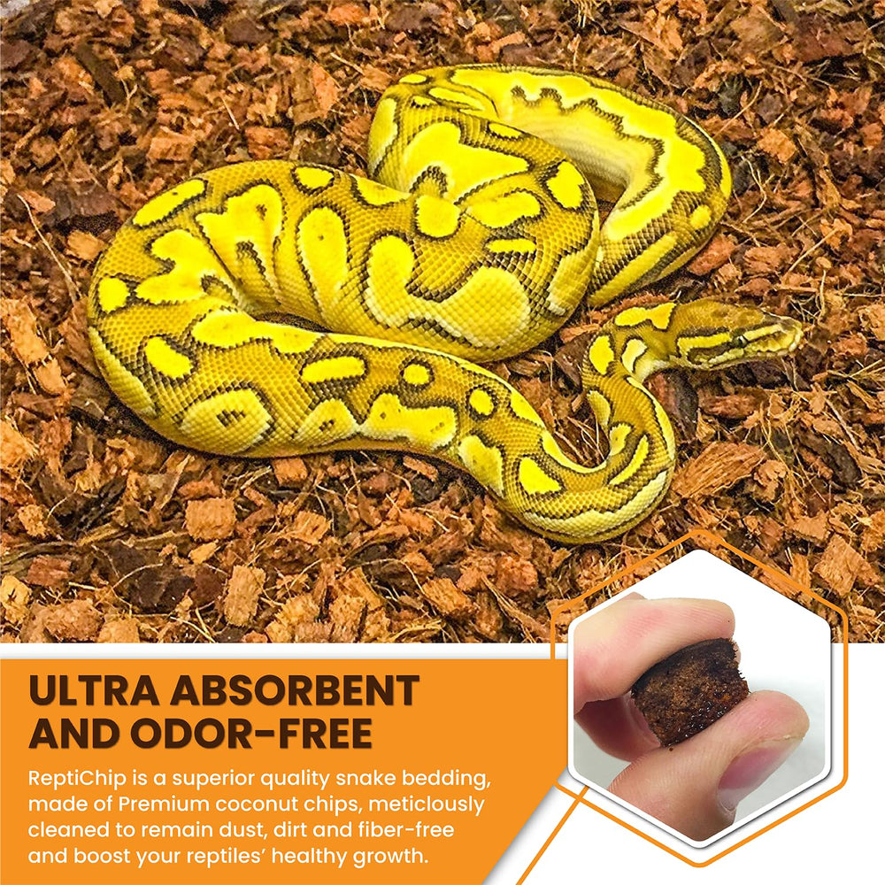 ReptiChip dans terrarium avec ball python, support naturel pour creusement