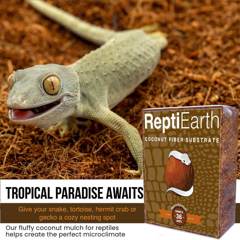 ReptiEarth sac à côté d'une règle pour visualiser taille et volume utile