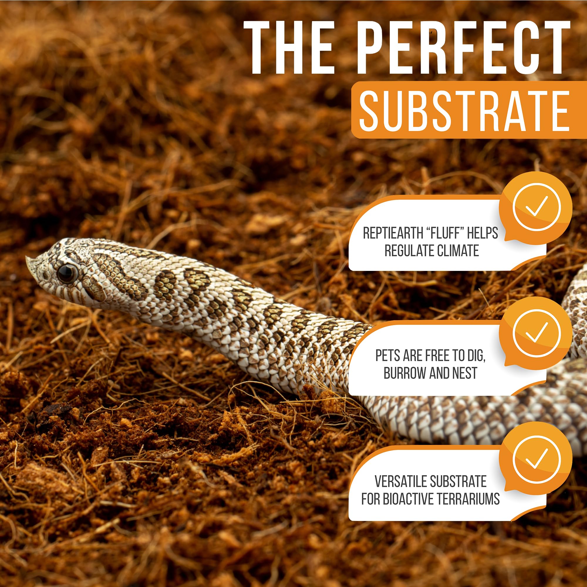 ReptiEarth étiquette qualité triple-lavage indiquant propreté et sécurité