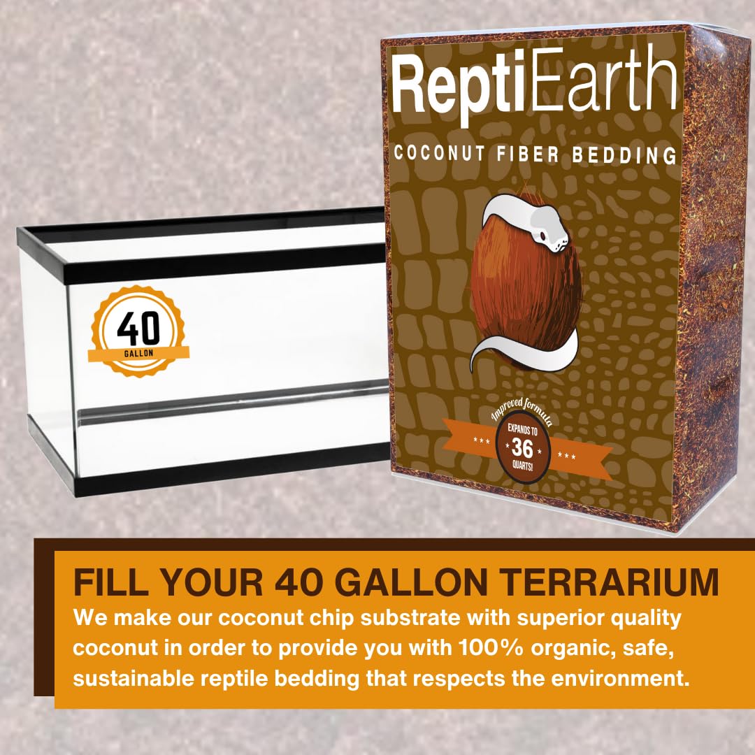 ReptiEarth substrat en terrarium avec gecko facilitant creusage naturel
