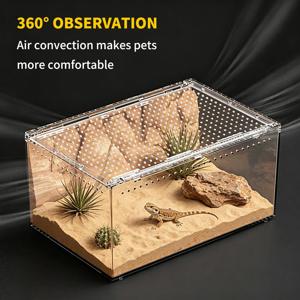 Reptile Growth taille comparée à une main, vérification des dimensions et praticité