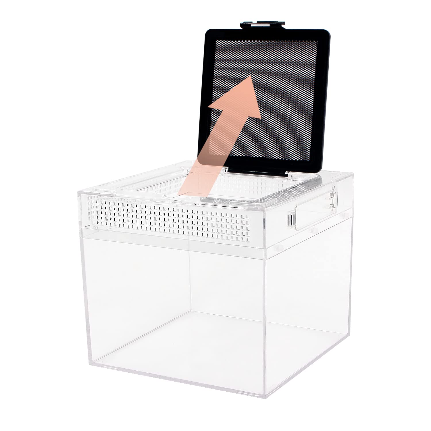 Reptile Growth comparaison d'échelle montrant taille compacte et gain de place