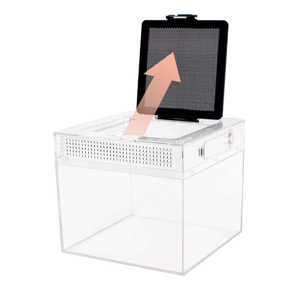 Reptile Growth comparaison d'échelle montrant taille compacte et gain de place