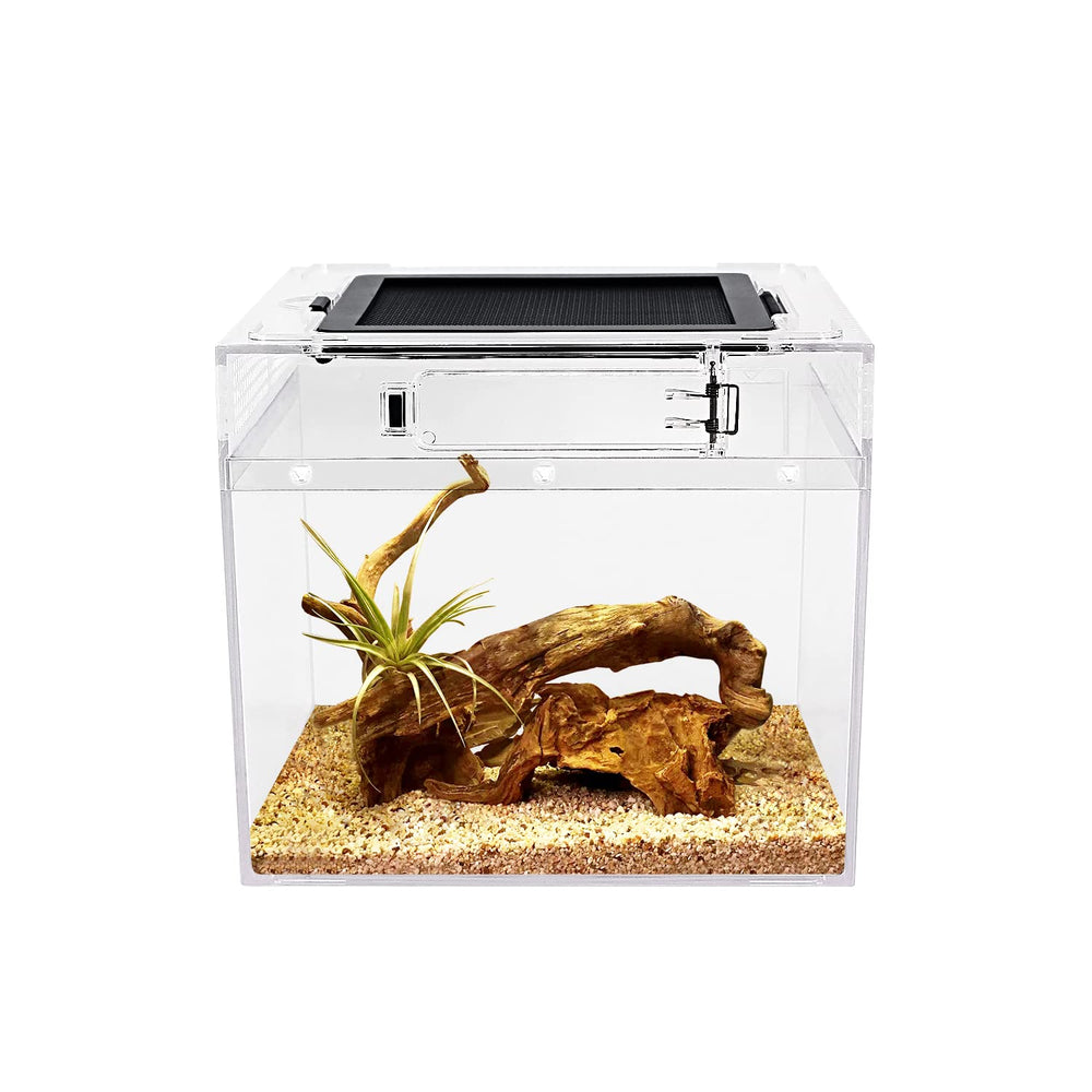 Reptile Growth vue avant du terrarium offrant visibilité et sécurité