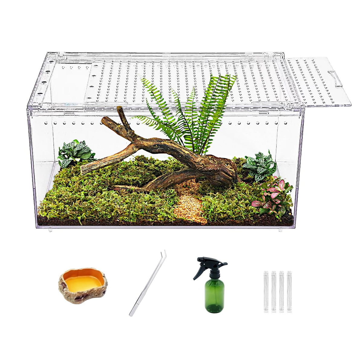 Reptile Growth face avant montrant transparence et accès facile, visibilité optimale
