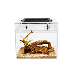 Reptile Growth vue avant du terrarium offrant visibilité et sécurité