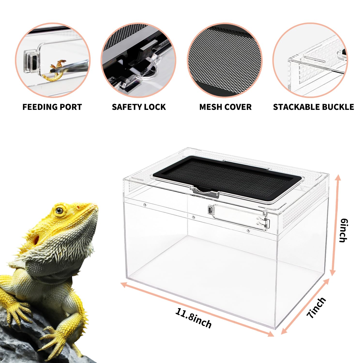 Reptile Growth gros plan du polycarbonate antichoc assurant sécurité et clarté