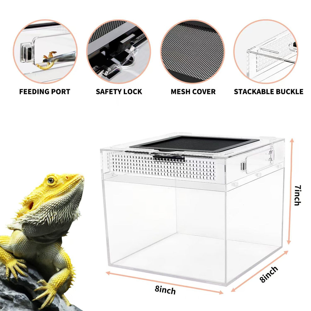 Reptile Growth port de nourrissage magnétique sécurisé pour éviter évasions