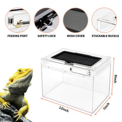 Reptile Growth intérieur aménagé avec décor pour observation facile des animaux
