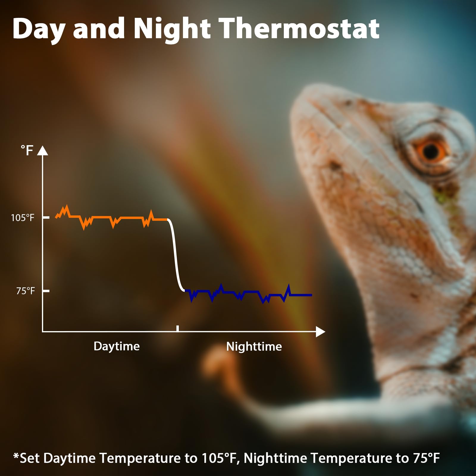 REPTITRIP écran jour-nuit montrant presets pour cycle naturel