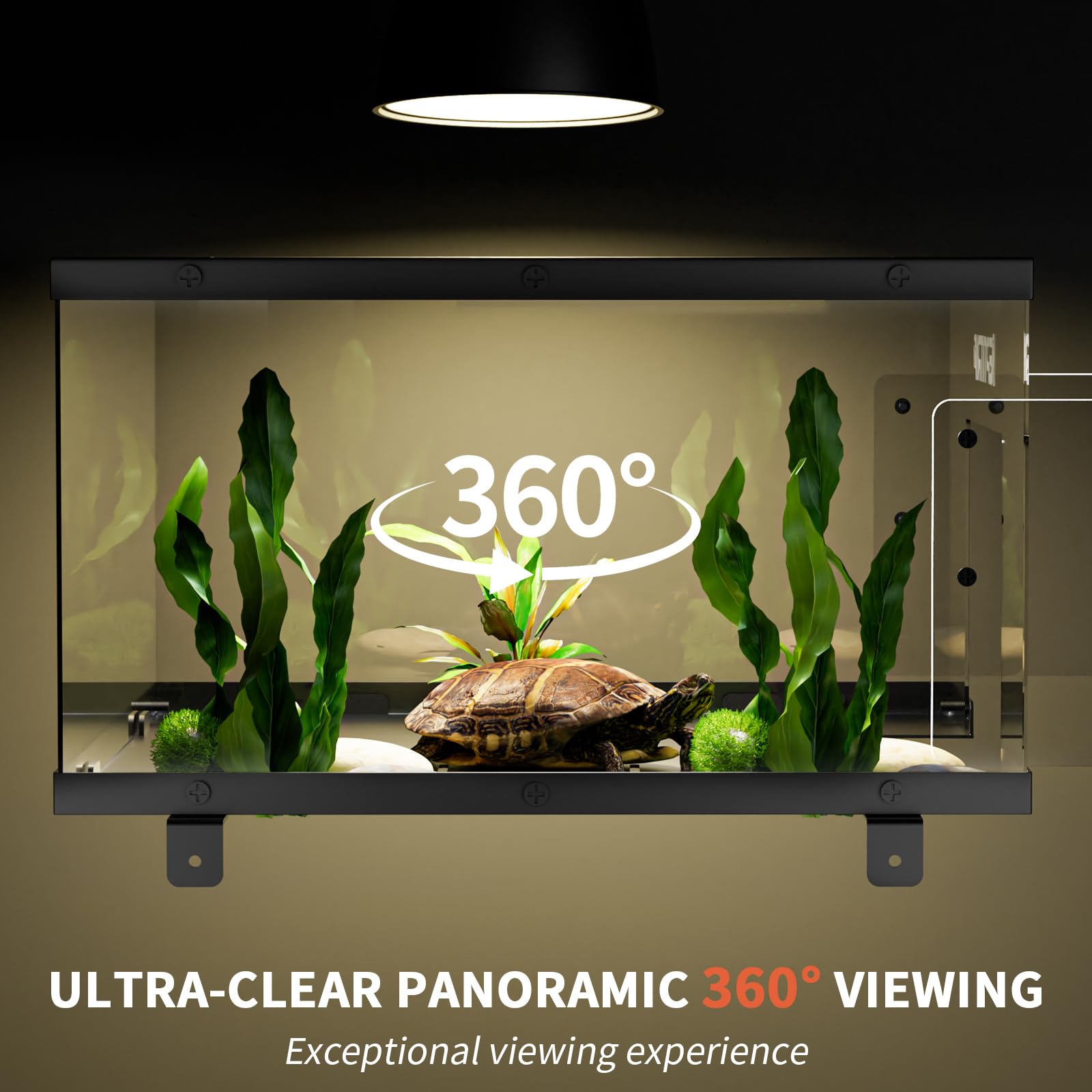 REPTITRIP plateforme installée dans aquarium pour observation facile