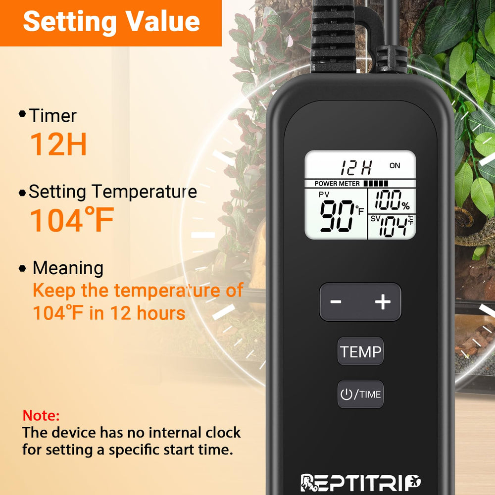 REPTITRIP en usage dans terrarium avec lampe, assurant chaleur stable
