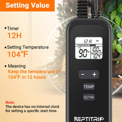 REPTITRIP en usage dans terrarium avec lampe, assurant chaleur stable