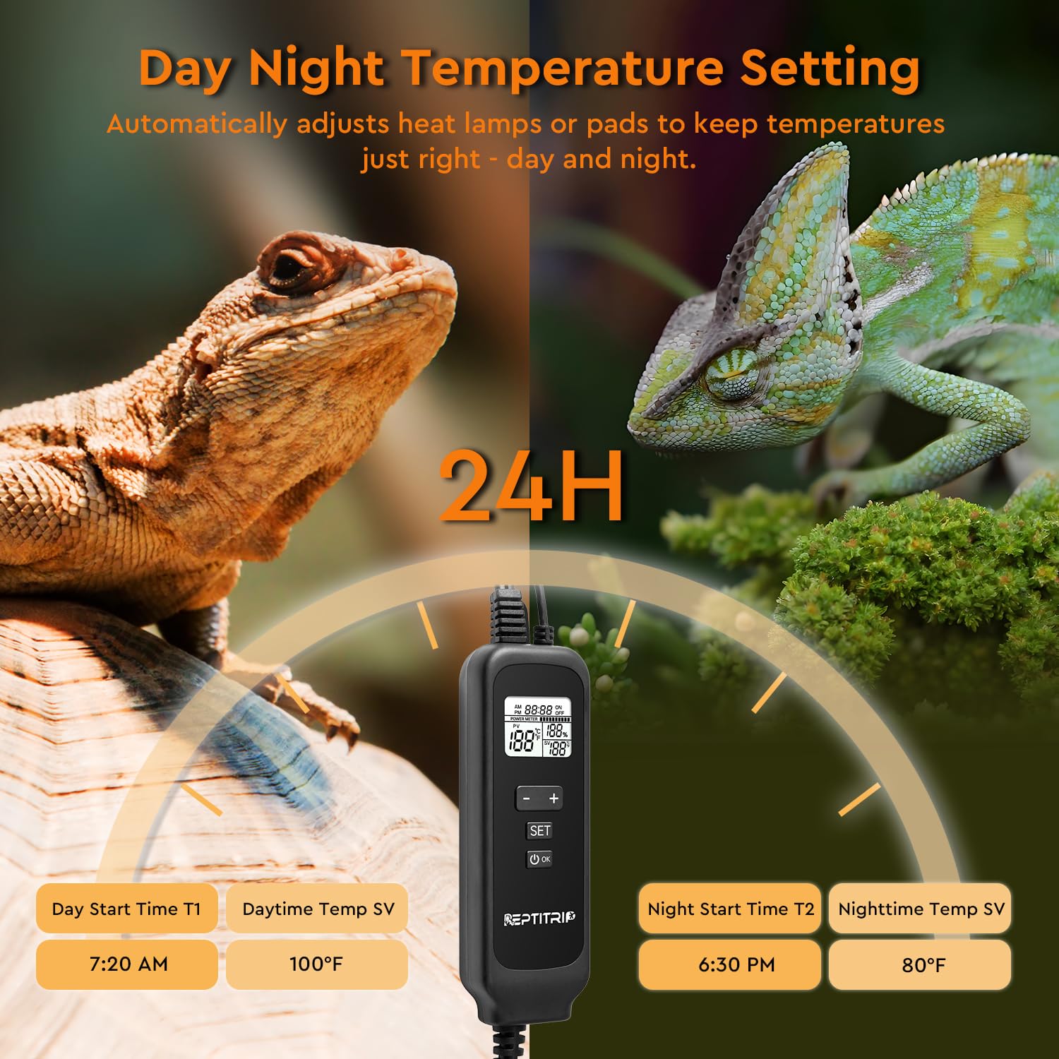 REPTITRIP thermostat en usage dans un terrarium pour stabilité thermique
