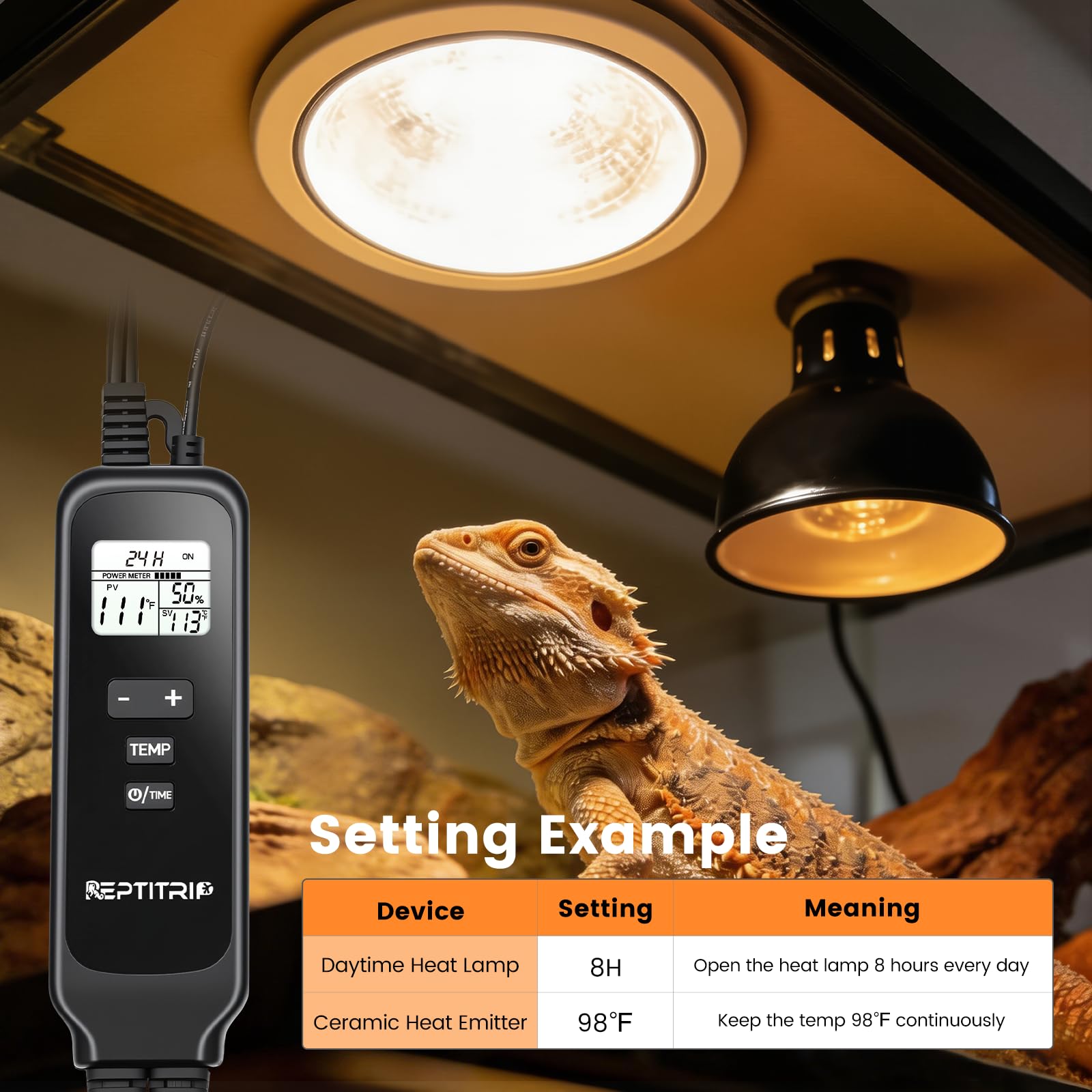 REPTITRIP sonde à ventouse en gros plan pour lecture précise du basking