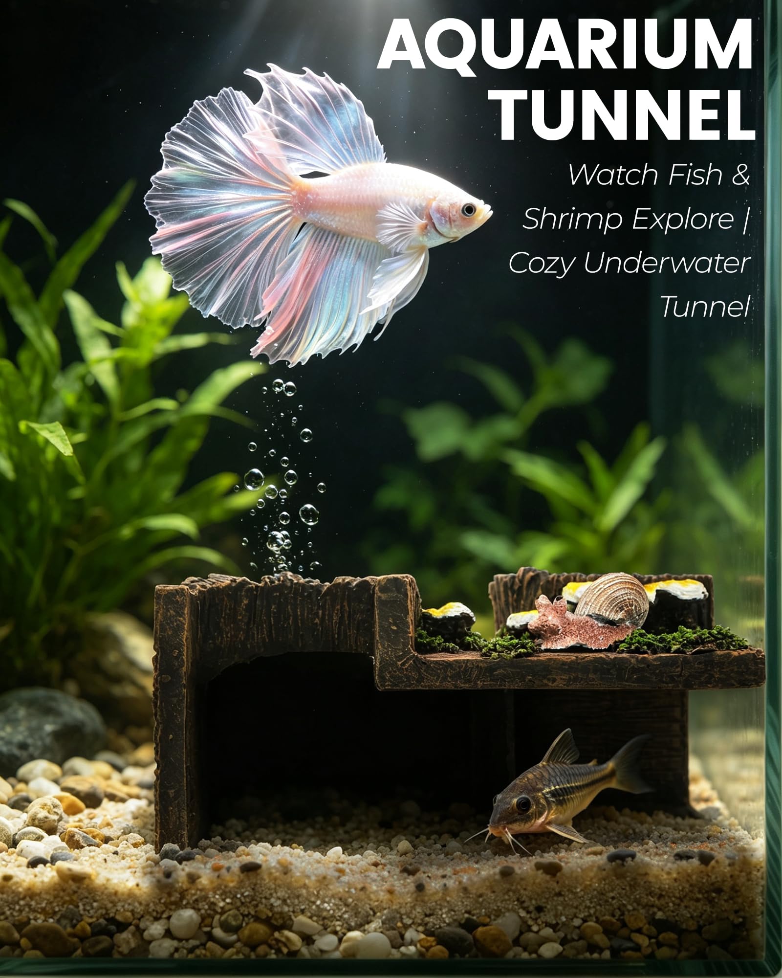 REPTITRIP tunnel placé dans aquarium démontrant intégration décorative