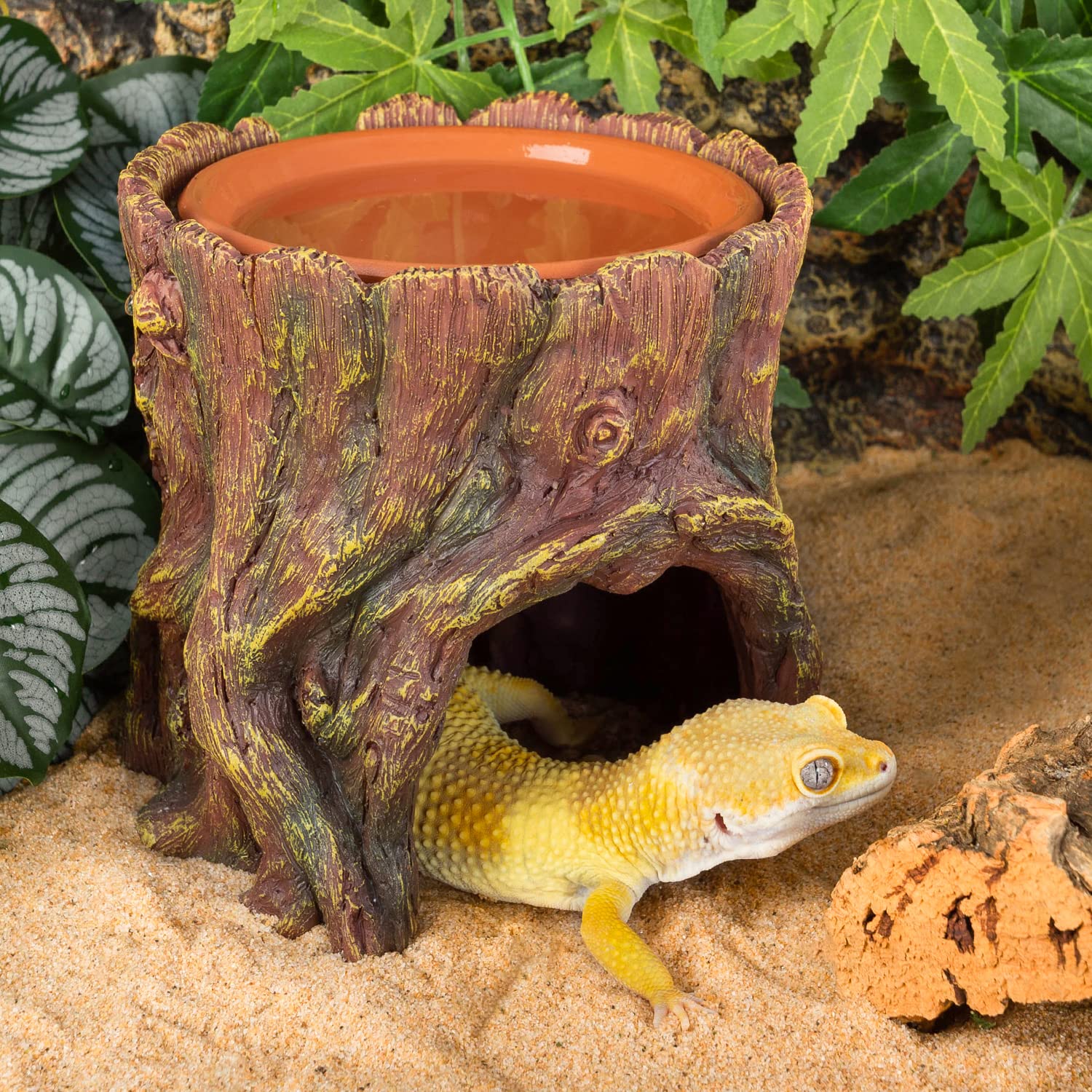 REPTI ZOO cachette installée dans terrarium améliorant décor et microclimat