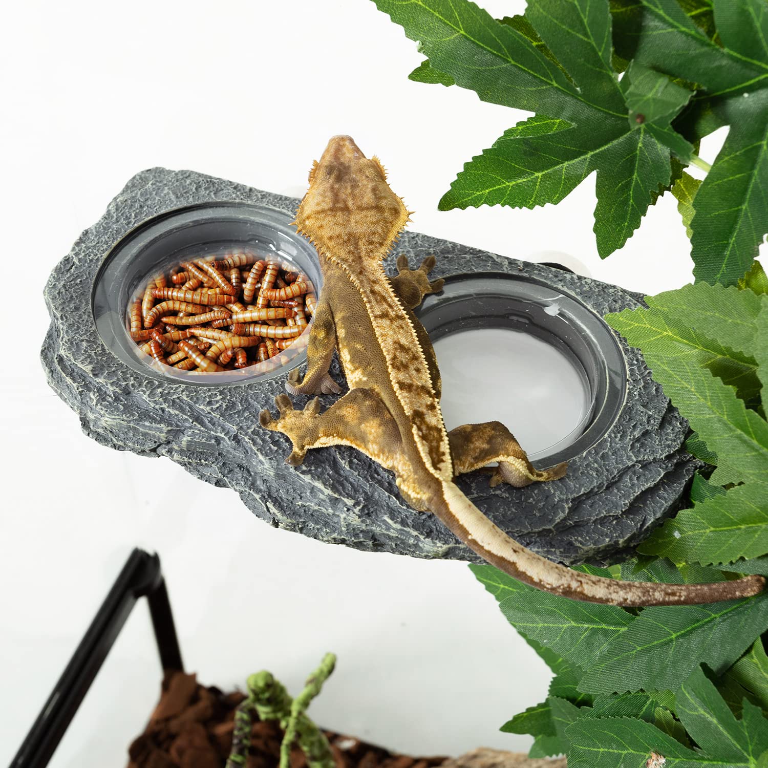 REPTIZOO fixation aimant sur verre maintien fiable sans perçage
