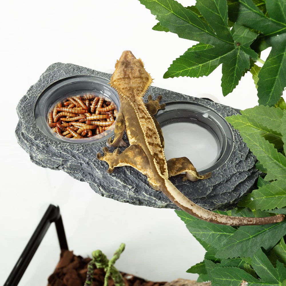 REPTIZOO fixation aimant sur verre maintien fiable sans perçage