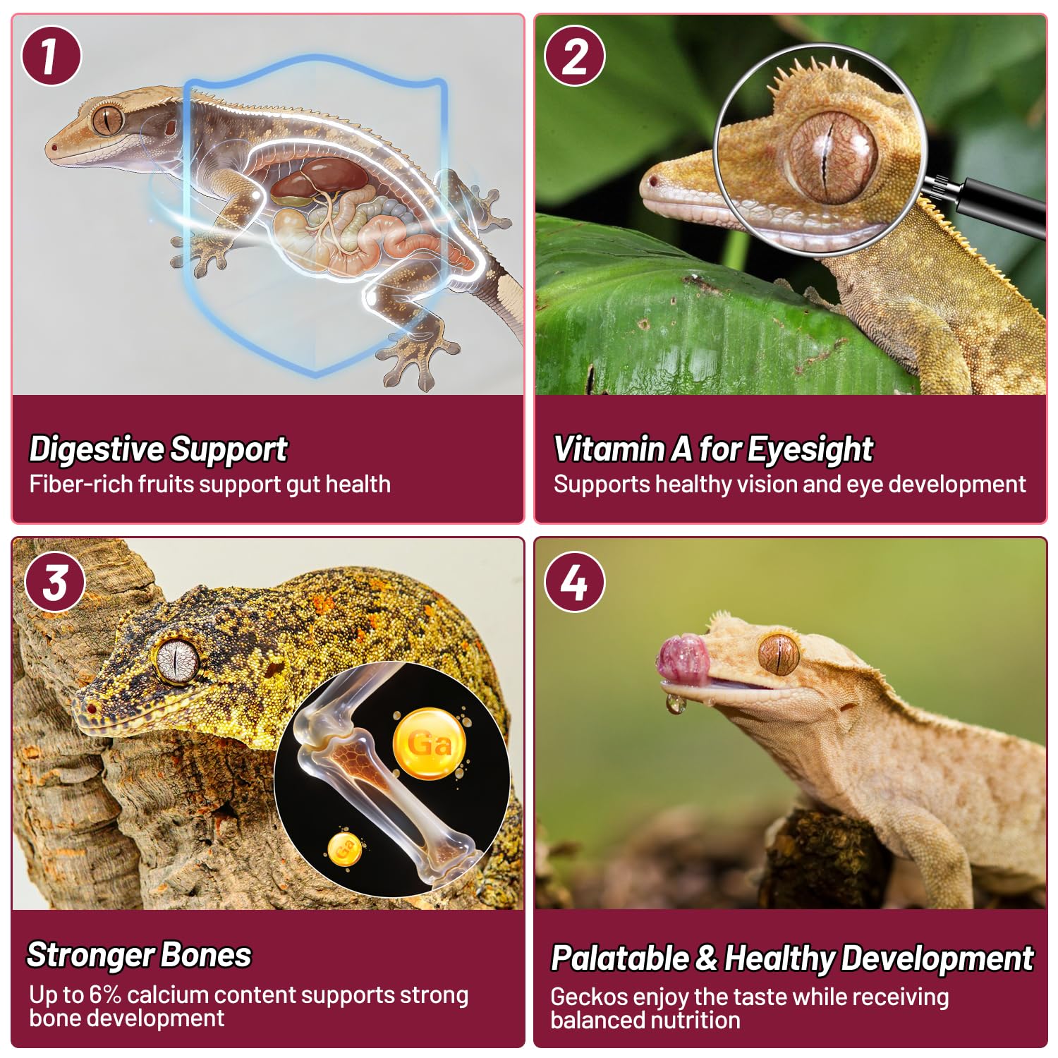 REPTIZOO FRIENDLY comparaison d'échelle illustre portion 56g pratique