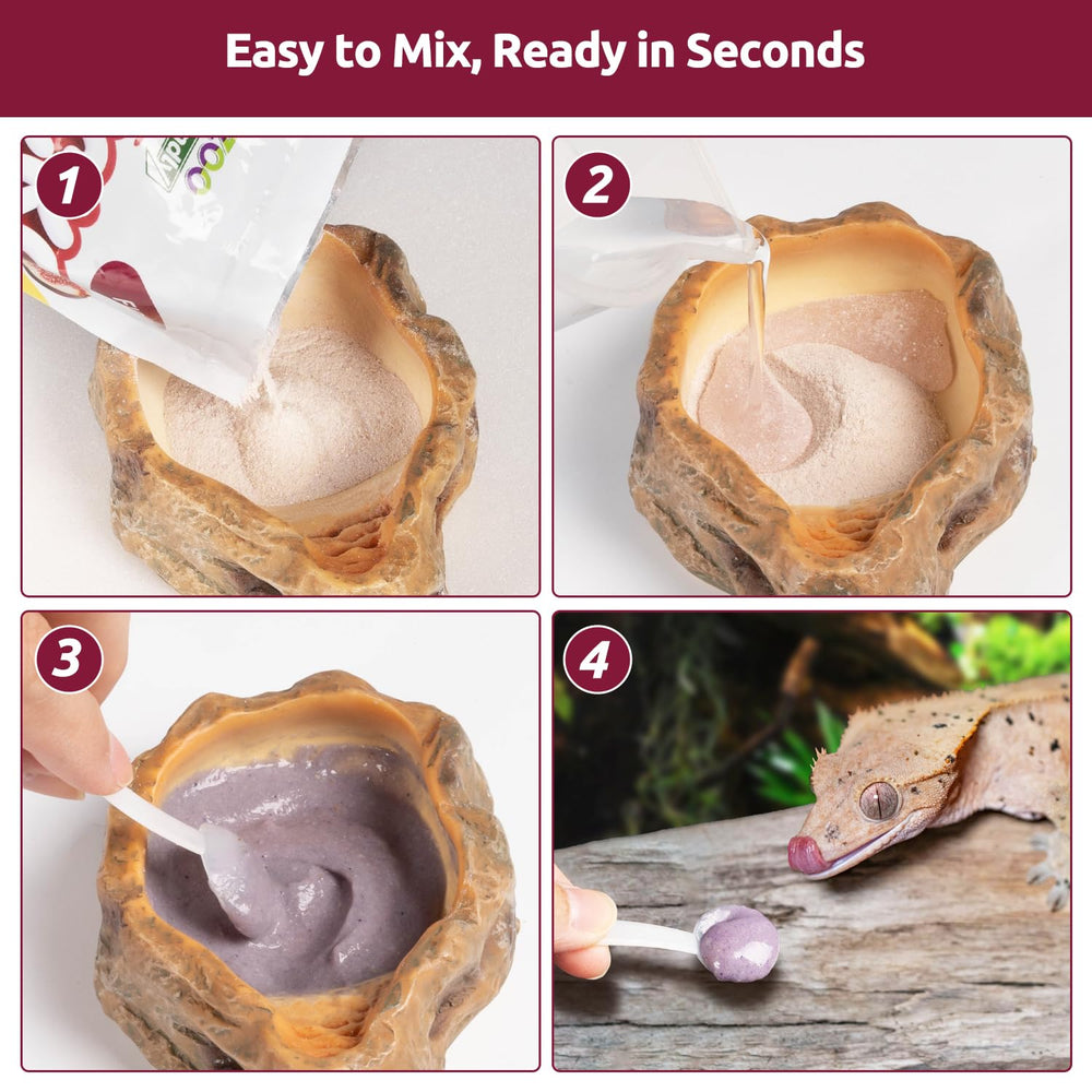 REPTIZOO FRIENDLY gecko en train de manger favorise consommation active