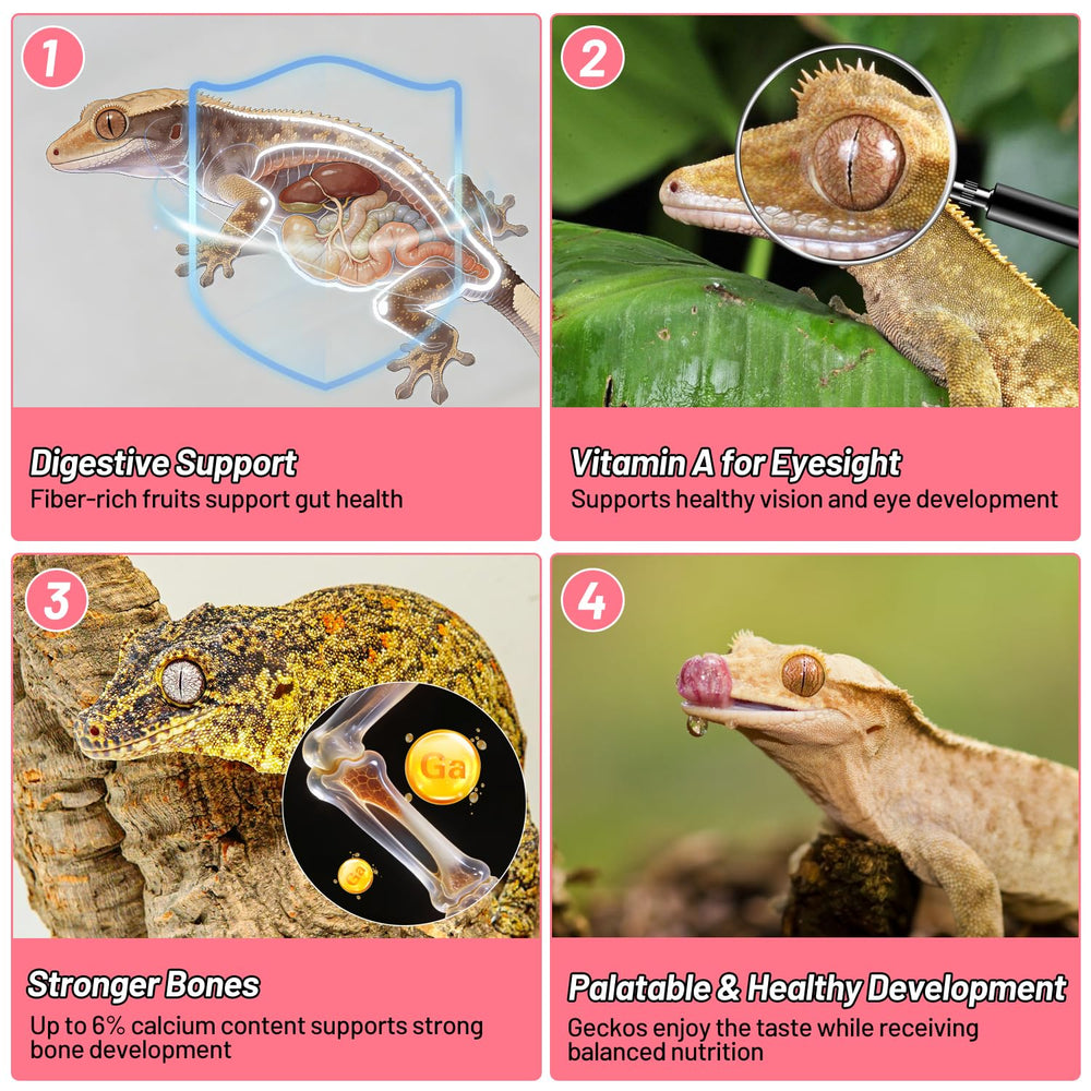 REPTIZOO FRIENDLY gecko mangeant le mélange, alimentation attirante