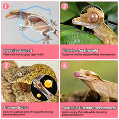 REPTIZOO FRIENDLY gecko mangeant le mélange, alimentation attirante