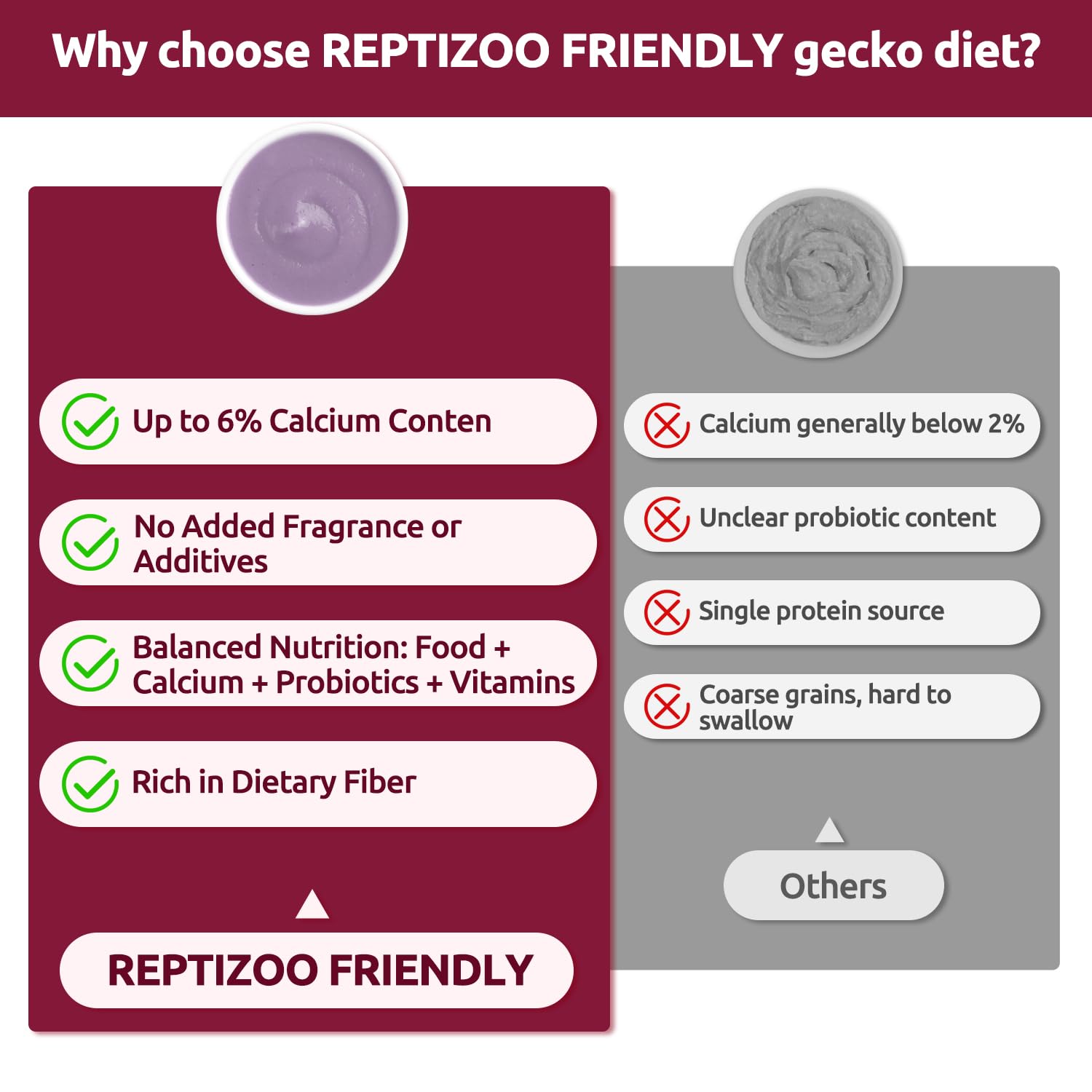 REPTIZOO FRIENDLY mélange réhydraté dans bol prêt à servir