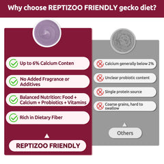 REPTIZOO FRIENDLY mélange réhydraté dans bol prêt à servir